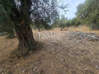 Αγροτεμάχια 2.317 τ.μ. για πώληση, Αχαΐα, Μεσσατίδα-thumb-2