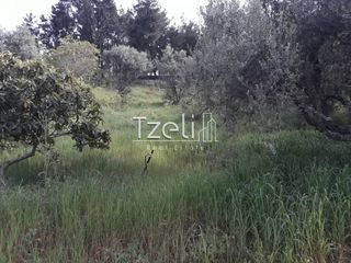 Οικόπεδο 438 τ.μ. για πώληση
