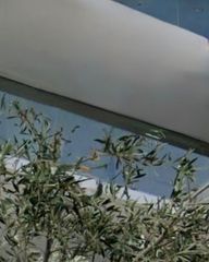 Μονοκατοικία 500 τ.μ. για ενοικίαση