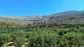 Οικόπεδο 6.020 τ.μ. για πώληση, Ν. Ρεθύμνου, Φοινίκας-thumb-8