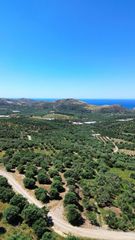 Οικόπεδο 6.020 τ.μ. για πώληση, Ν. Ρεθύμνου, Φοινίκας-thumb-5