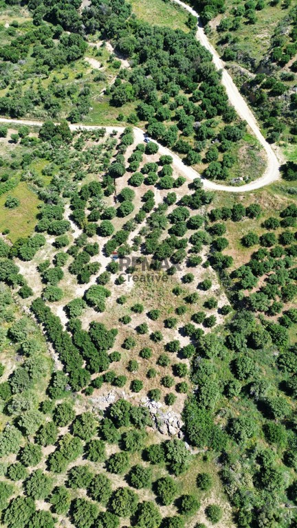 Οικόπεδο 6.020 τ.μ. πρός πώληση, Ν. Ρεθύμνου, Φοινίκας
