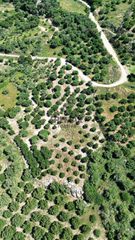 Οικόπεδο 6.020 τ.μ. για πώληση, Ν. Ρεθύμνου, Φοινίκας-thumb-4