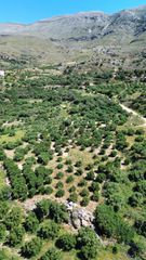Οικόπεδο 6.020 τ.μ. για πώληση, Ν. Ρεθύμνου, Φοινίκας-thumb-10