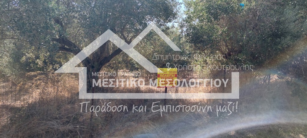 Αγροτεμάχια 9.000 τ.μ. πρός πώληση, Αιτωλοακαρνανία, Ιερά Πόλη Μεσολογγίου