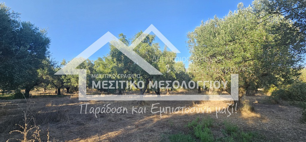 Αγροτεμάχια 9.000 τ.μ. πρός πώληση, Αιτωλοακαρνανία, Ιερά Πόλη Μεσολογγίου