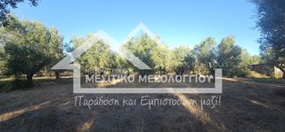 Αγροτεμάχια 9.000 τ.μ. για πώληση