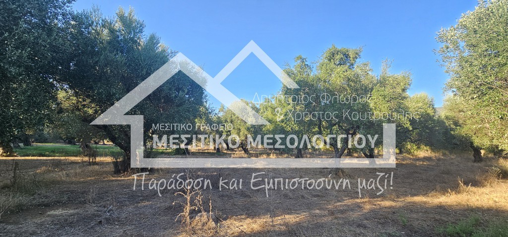 Αγροτεμάχια 9.000 τ.μ. πρός πώληση, Αιτωλοακαρνανία, Ιερά Πόλη Μεσολογγίου