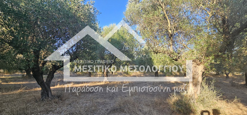 Αγροτεμάχια 9.000 τ.μ. πρός πώληση, Αιτωλοακαρνανία, Ιερά Πόλη Μεσολογγίου