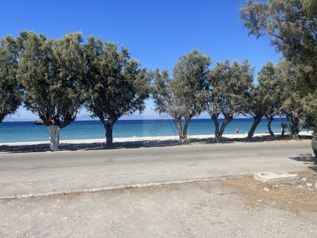 Αγροτεμάχια 5.610 τ.μ. προς πώληση