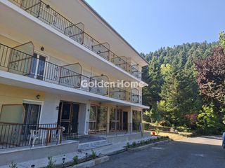 Ξενοδοχείο 675 τ.μ. για πώληση, Αρκαδία, Βιτίνα-thumb-1