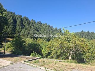 Ξενοδοχείο 675 τ.μ. για πώληση, Αρκαδία, Βιτίνα-thumb-8