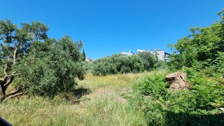 Διαμέρισμα 60 τ.μ. προς ενοικίαση, Προάστιο Πάτρας-thumb-18