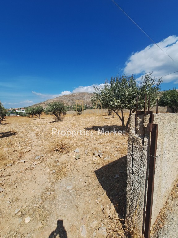 Αγροτεμάχια 3.309 τ.μ. πρός πώληση, Αττική - Υπόλοιπο, Καλύβια Θορικού