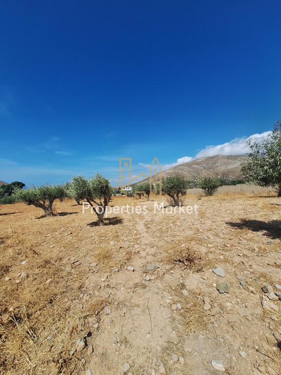 Αγροτεμάχια 3.309 τ.μ. πρός πώληση, Αττική - Υπόλοιπο, Καλύβια Θορικού