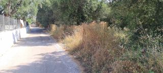 Οικόπεδο 1.500 τ.μ. για πώληση, Μεσσηνία, Μεσσήνη-thumb-2