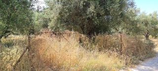 Οικόπεδο 1.500 τ.μ. για πώληση, Μεσσηνία, Μεσσήνη-thumb-3