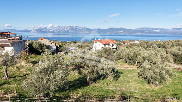 Οικόπεδο 970 τ.μ. για πώληση, Εύβοια, Ανθηδώνος