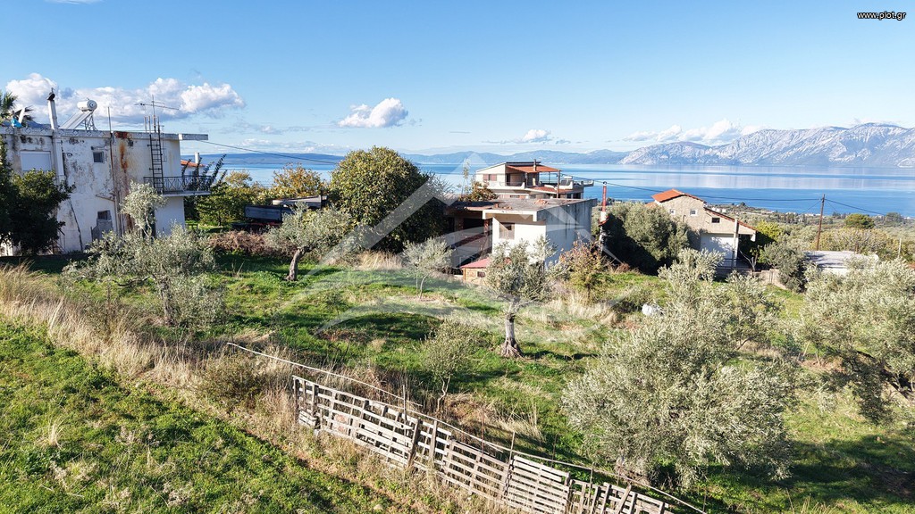 Οικόπεδο 970 τ.μ. πρός πώληση, Εύβοια, Ανθηδώνος