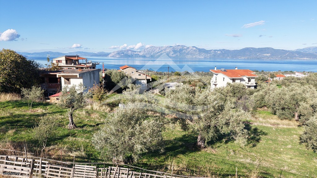Οικόπεδο 970 τ.μ. πρός πώληση, Εύβοια, Ανθηδώνος