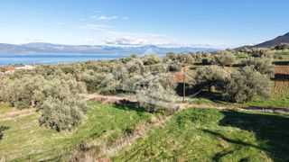 Οικόπεδο 970 τ.μ. για πώληση, Εύβοια, Ανθηδώνος-thumb-5