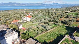 Οικόπεδο 970 τ.μ. για πώληση, Εύβοια, Ανθηδώνος-thumb-16