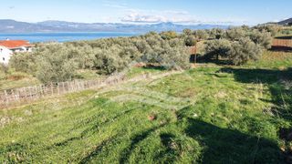 Οικόπεδο 970 τ.μ. για πώληση, Εύβοια, Ανθηδώνος-thumb-18