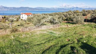 Οικόπεδο 970 τ.μ. για πώληση, Εύβοια, Ανθηδώνος-thumb-19
