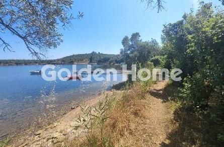 Αγροτεμάχια 1.259 τ.μ. για πώληση, Μαγνησία, Τρικέρι