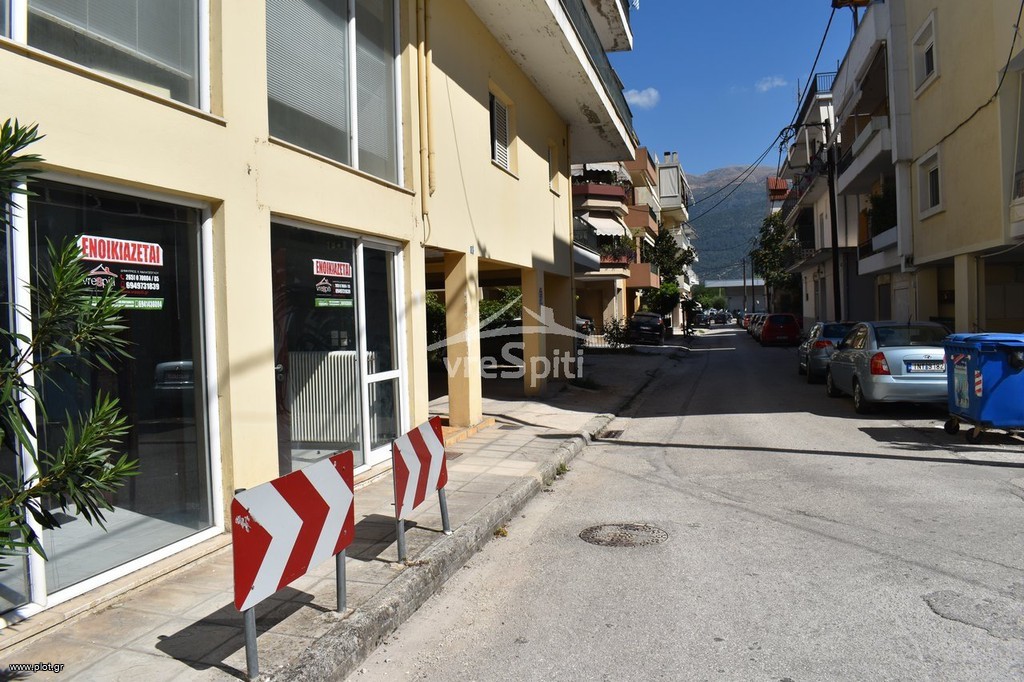 Κατάστημα 113 τ.μ. πρός ενοικίαση, Ν. Ιωαννίνων, Ιωάννινα