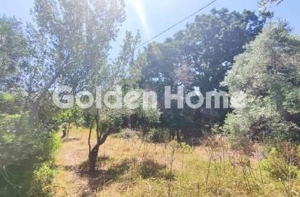 Αγροτεμάχια 2.102 τ.μ. για πώληση, Μαγνησία, Τρικέρι