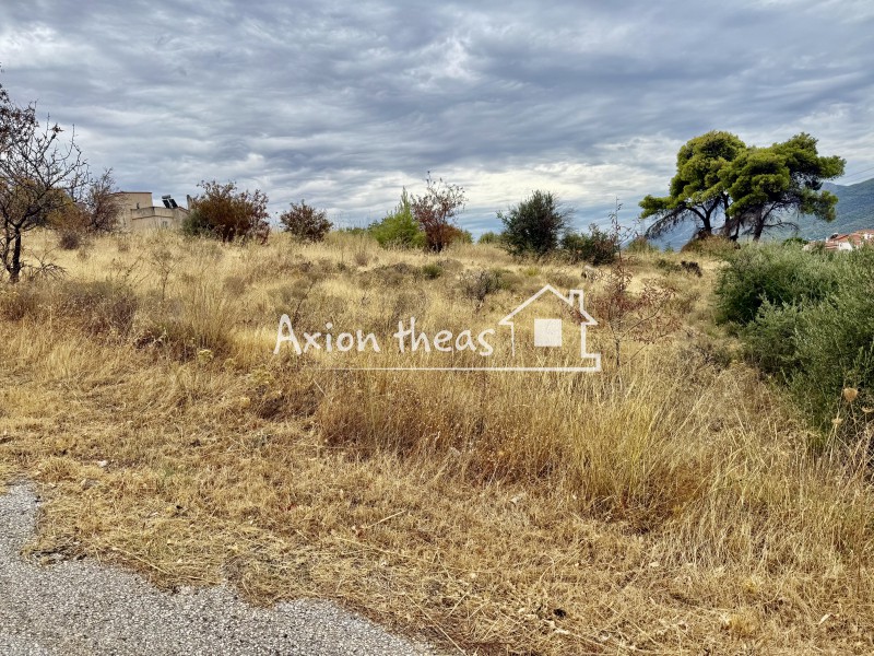 Οικόπεδο 456 τ.μ. πρός πώληση, Μεσσηνία, Μελιγαλά