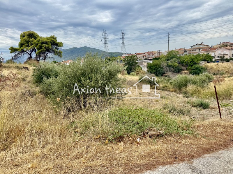 Οικόπεδο 456 τ.μ. πρός πώληση, Μεσσηνία, Μελιγαλά