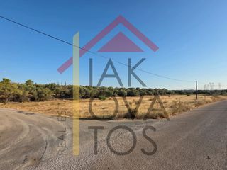 Land plot 7.078 sqm for sale