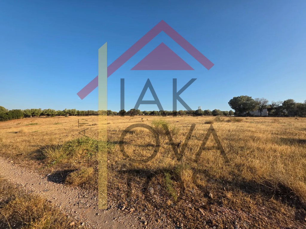 Οικόπεδο 7.930 τ.μ. πρός πώληση, Αθήνα - Ανατολικά Προάστια, Κορωπί
