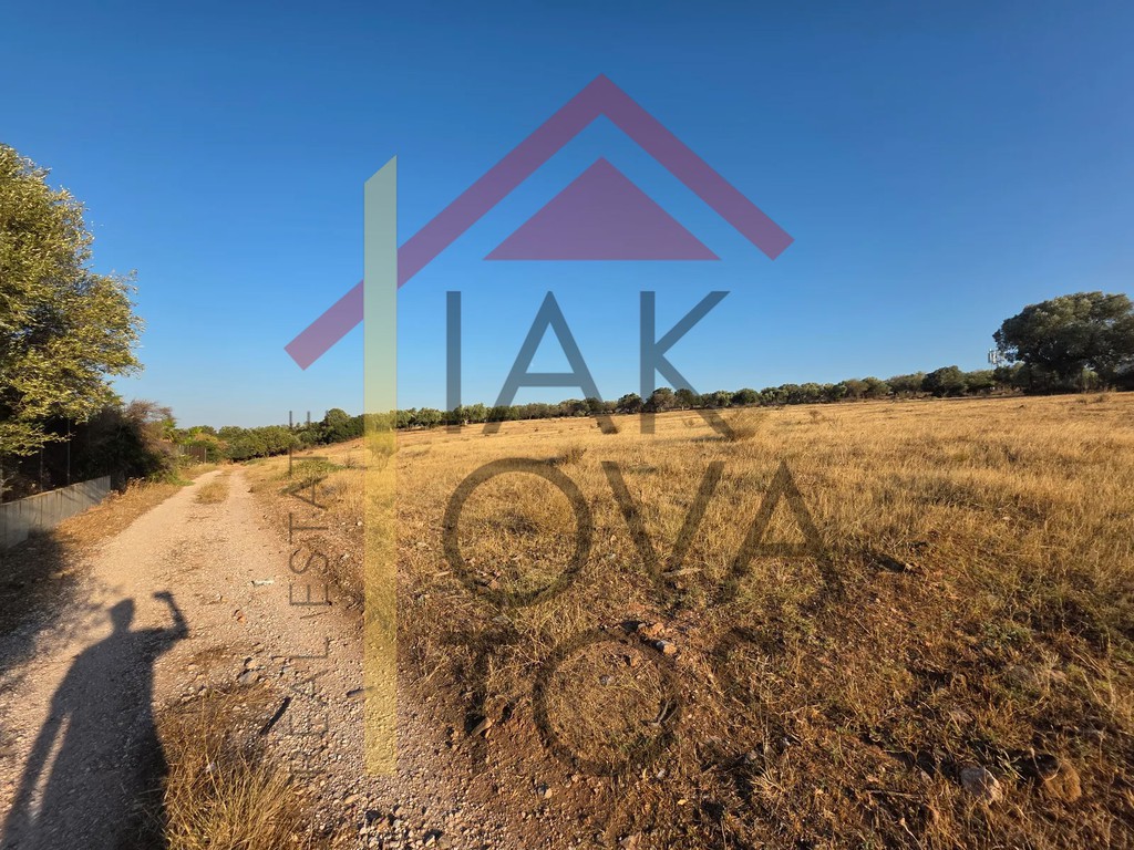 Οικόπεδο 7.930 τ.μ. πρός πώληση, Αθήνα - Ανατολικά Προάστια, Κορωπί