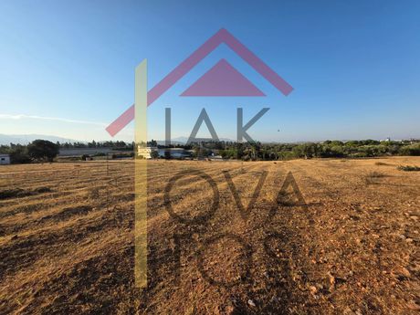 Οικόπεδο 7.930 τ.μ. πρός πώληση