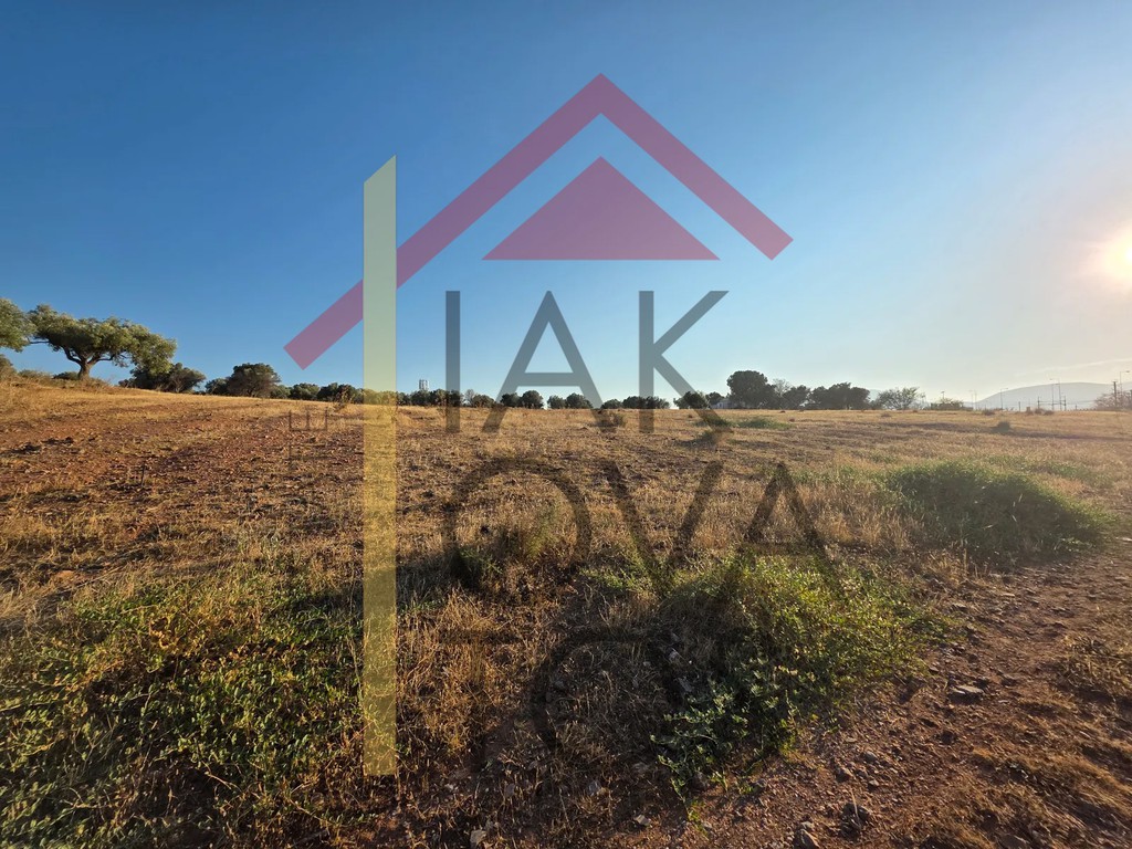 Οικόπεδο 7.930 τ.μ. πρός πώληση, Αθήνα - Ανατολικά Προάστια, Κορωπί