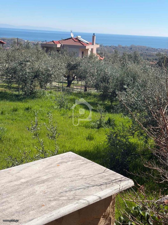 Βίλλα 210 τ.μ. πρός πώληση, Ημαθία, Βεργίνα