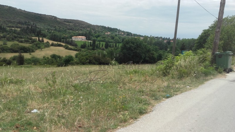 Αγροτεμάχια 7.087 τ.μ. προς πώληση, Μαγνησία, Αργαλαστή