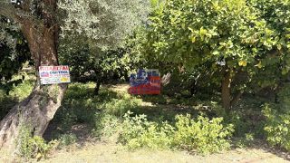 Οικόπεδο 645 τ.μ. πρός πώληση
