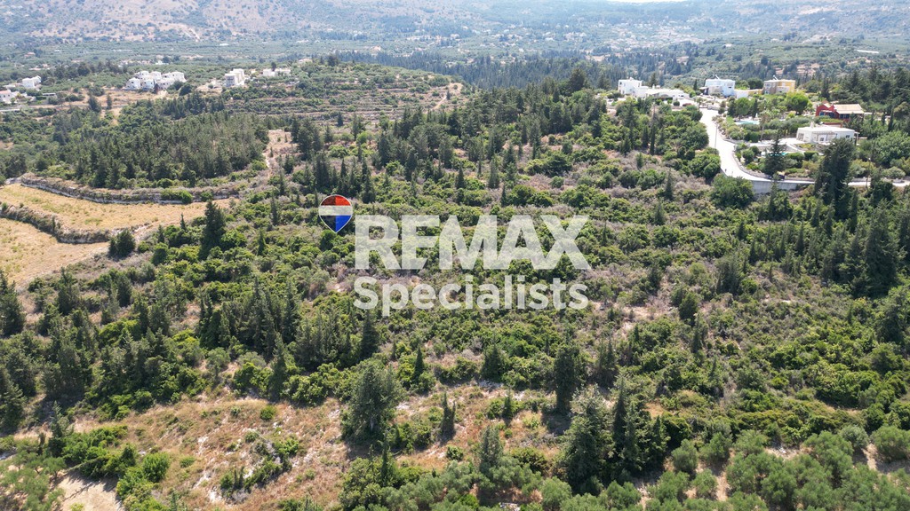 Οικόπεδο 15.559 τ.μ. προς πώληση, Αλμυρίδα Βάμου