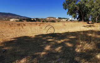 Οικόπεδο 43.000 τ.μ. για πώληση, Δωδεκάνησα, Κως-thumb-6