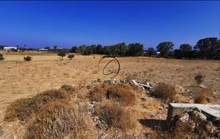 Οικόπεδο 43.000 τ.μ. για πώληση, Δωδεκάνησα, Κως-thumb-7