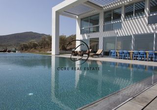 Βίλλα 500 τ.μ. πρός πώληση, Ν. Λέσβου, Λέσβος - Μυτιλήνη-thumb-2