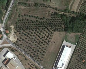 Οικόπεδο 14.002 τ.μ. για πώληση, Αχαΐα, Ωλένια-thumb-4