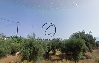 Οικόπεδο 14.002 τ.μ. για πώληση, Αχαΐα, Ωλένια-thumb-3
