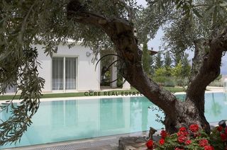 Συγκρότημα διαμερισμάτων 538 τ.μ. προς πώληση, Χαλκίδα-thumb-6