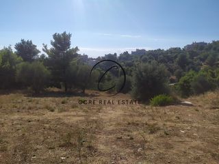 Οικόπεδο 614 τ.μ. προς πώληση