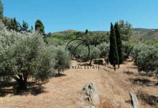 Οικόπεδο 5.573 τ.μ. για πώληση